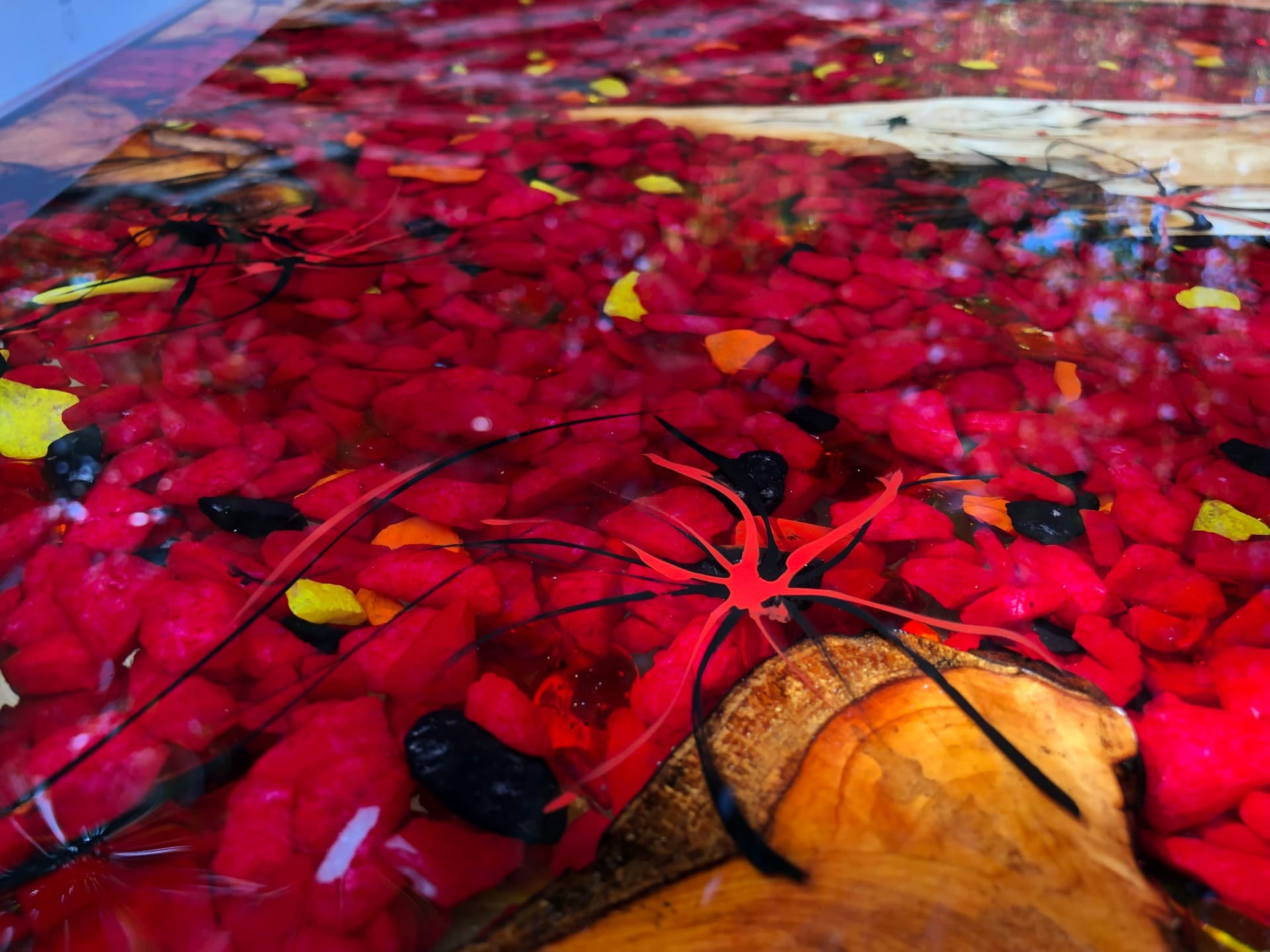 Close detail of red and amber glass chips with a black Lichtenberg-branched resin accent