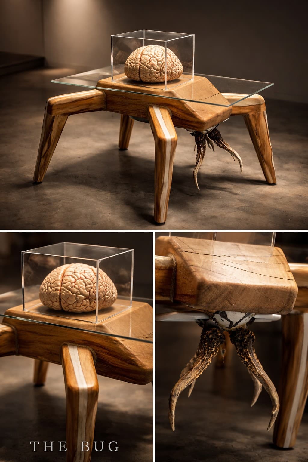 "THE BUG" branded studio concept: an eight-legged carved wood table with a glass top and a brain model in a display case