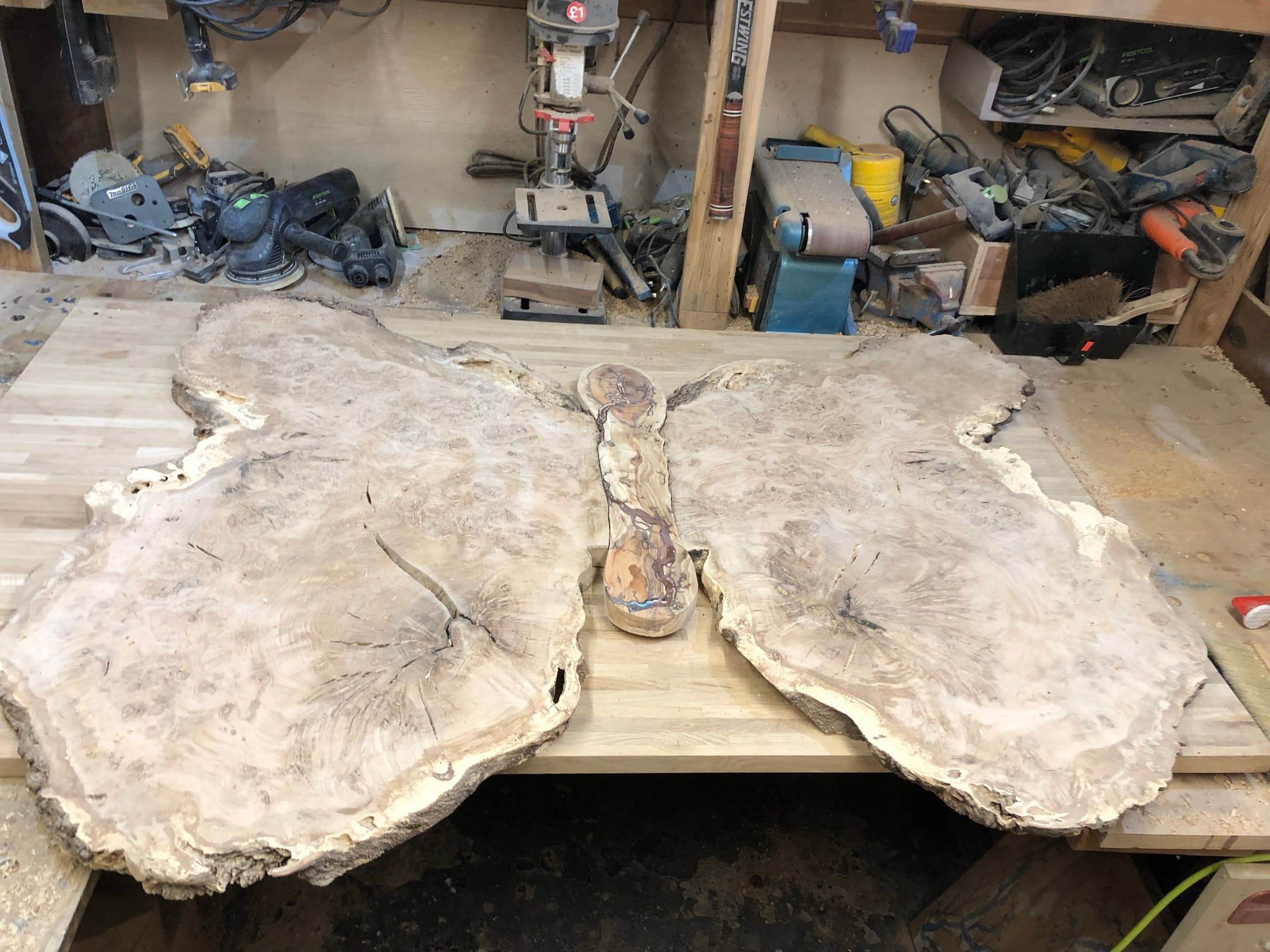 The raw burl wings and carved body section laid out mid-build in the workshop, before finishing