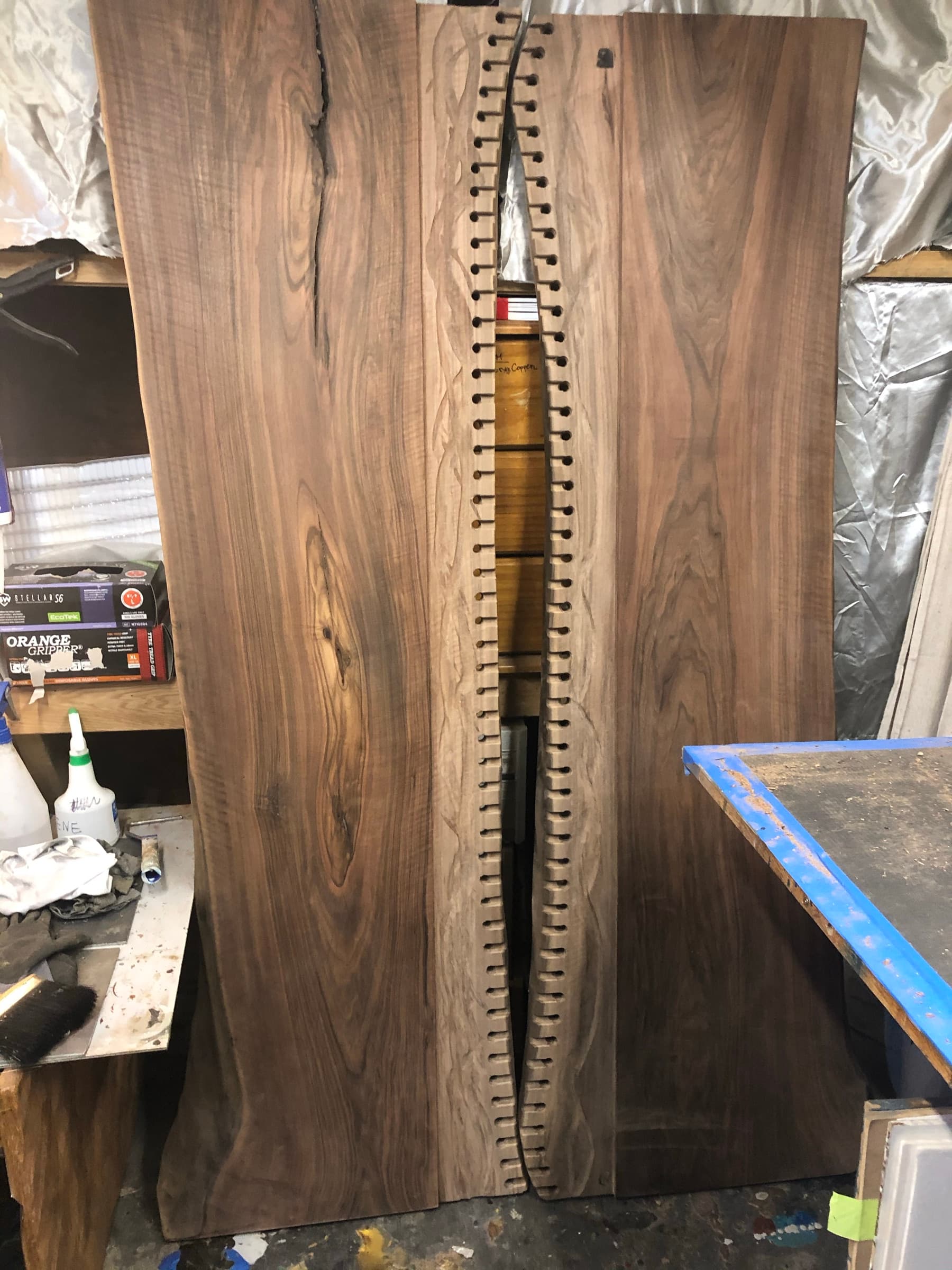The two walnut slabs pre-lacing, drilled lacing holes visible along both edges, workshop