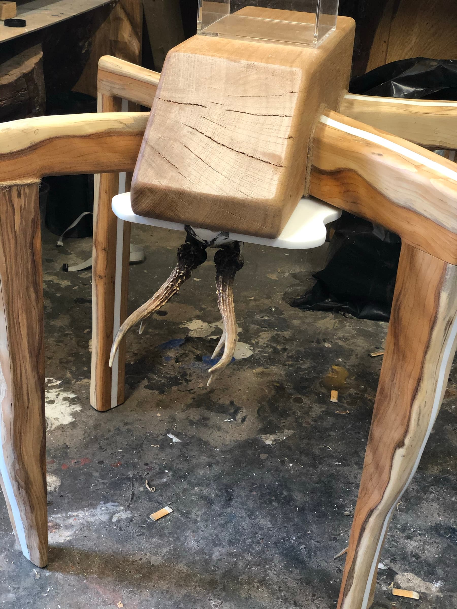 Close view of the dried claw ornament hanging beneath the tabletop, between the carved legs
