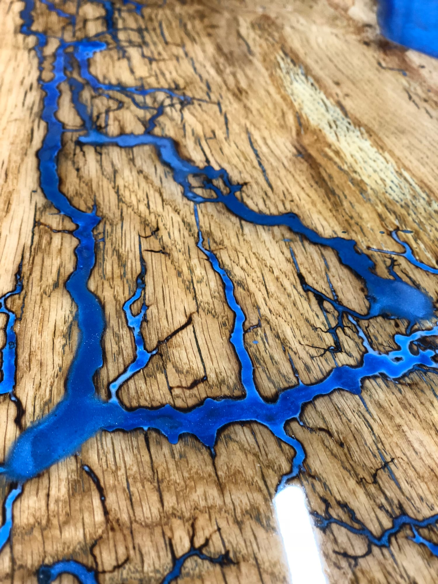 BLUE — archive photograph 13