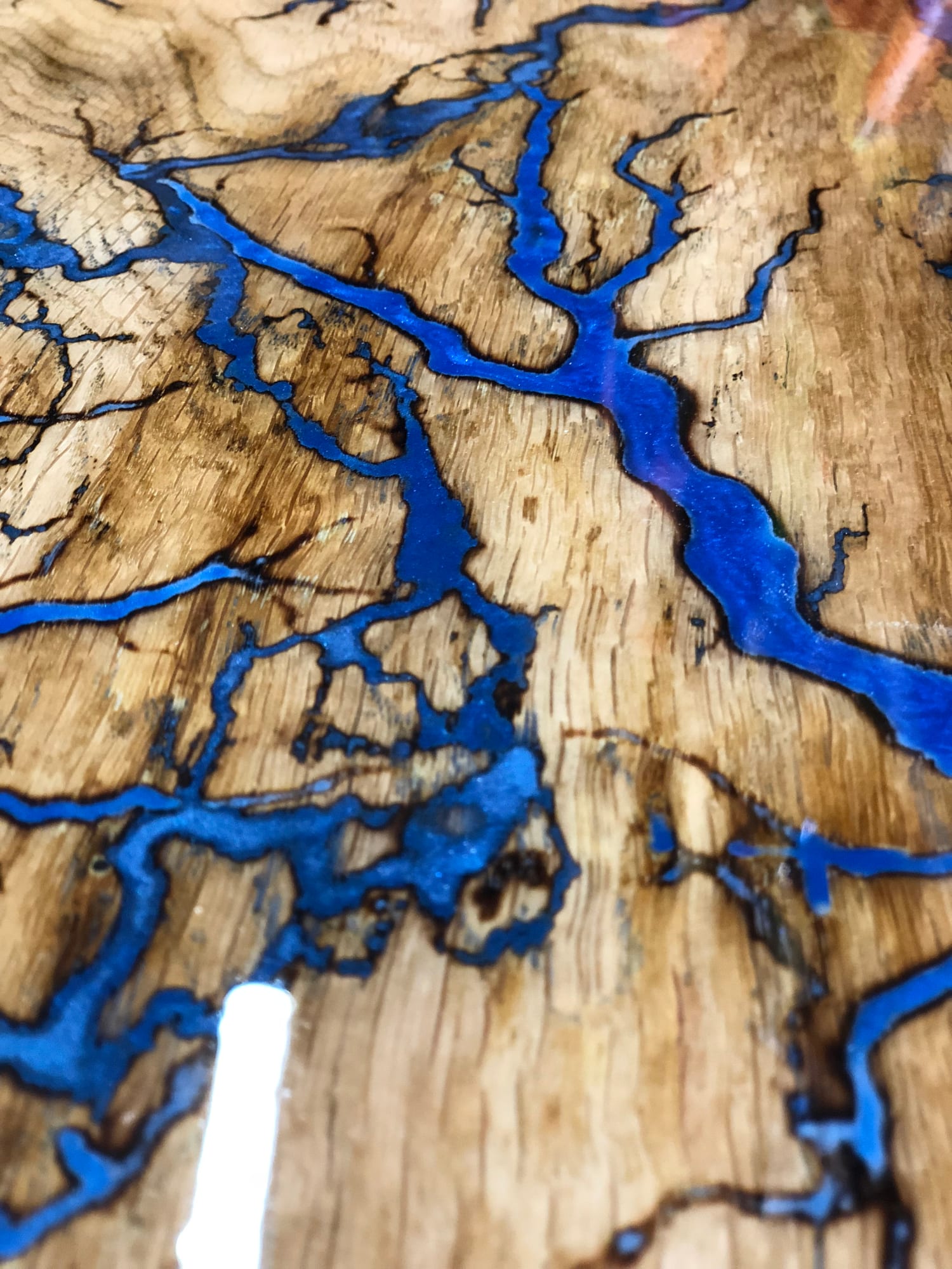 BLUE — archive photograph 14