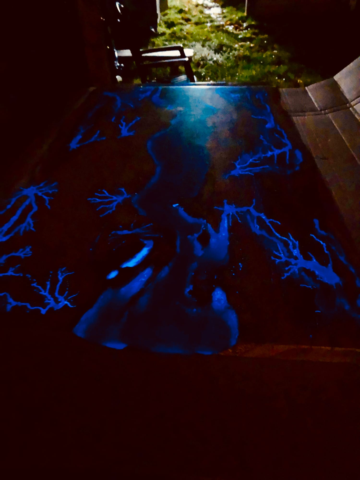 BLUE — archive photograph 16