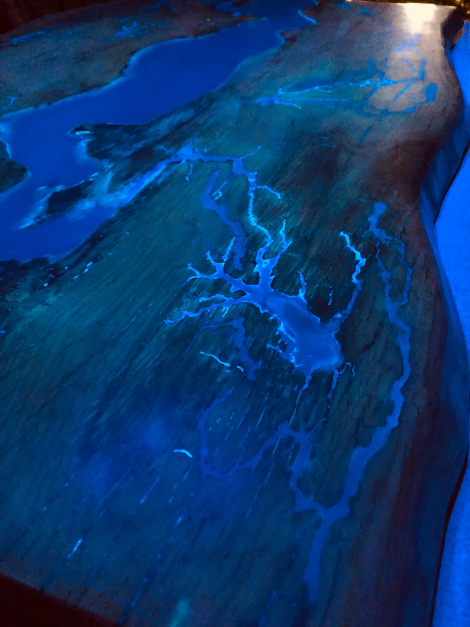 BLUE — archive photograph 17