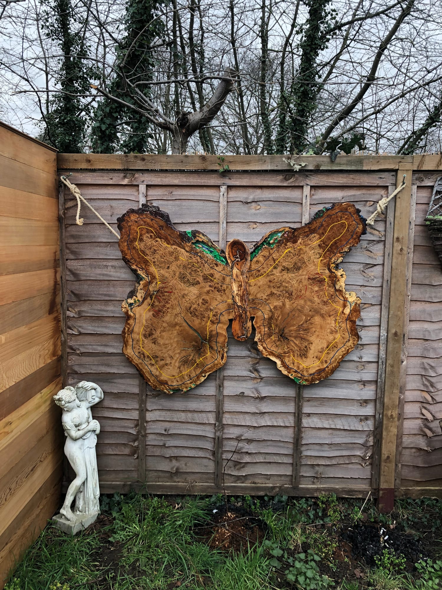 Butterfly — archive photograph 1