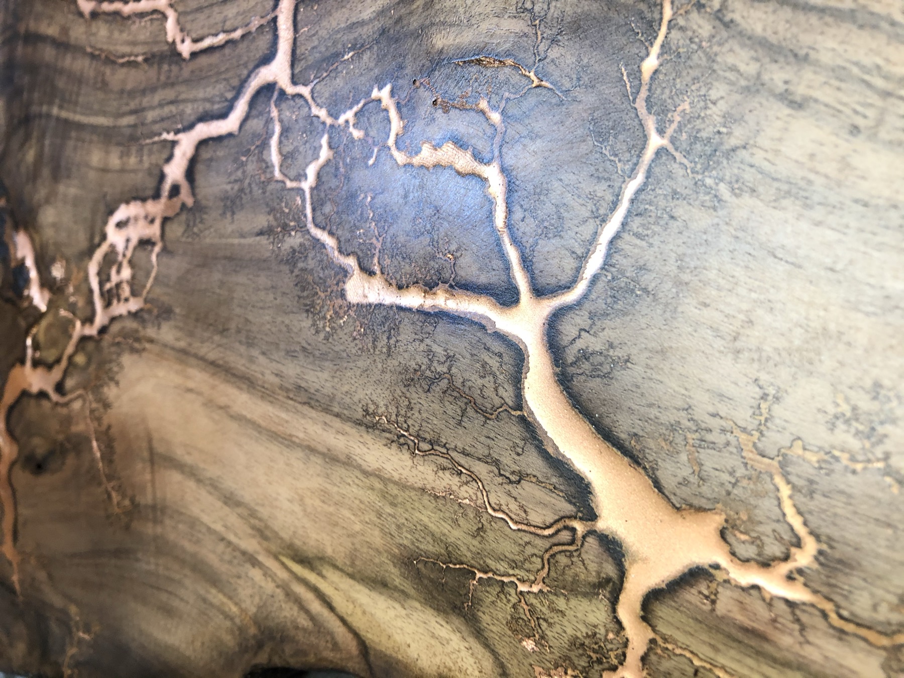 Wide view of silver Lichtenberg branching across a walnut board