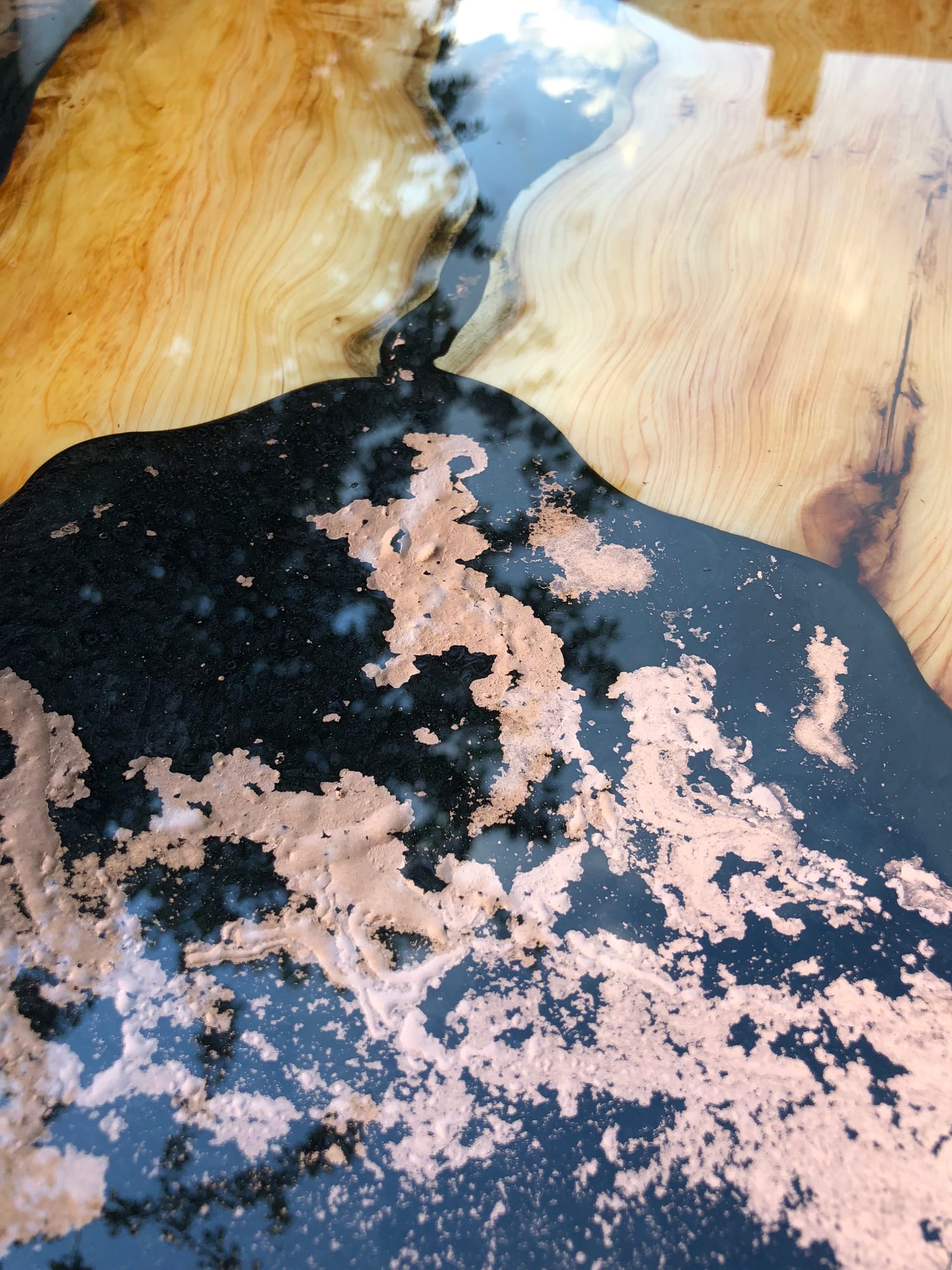 ELECTA — archive photograph 16