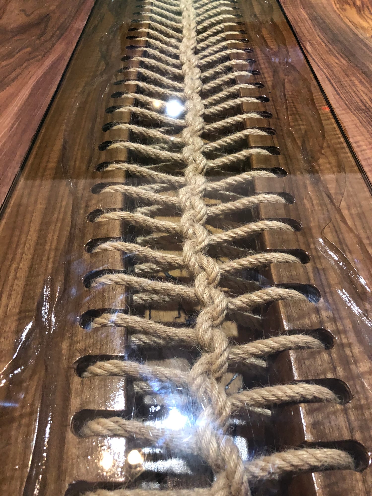FISHBONE — archive photograph 11