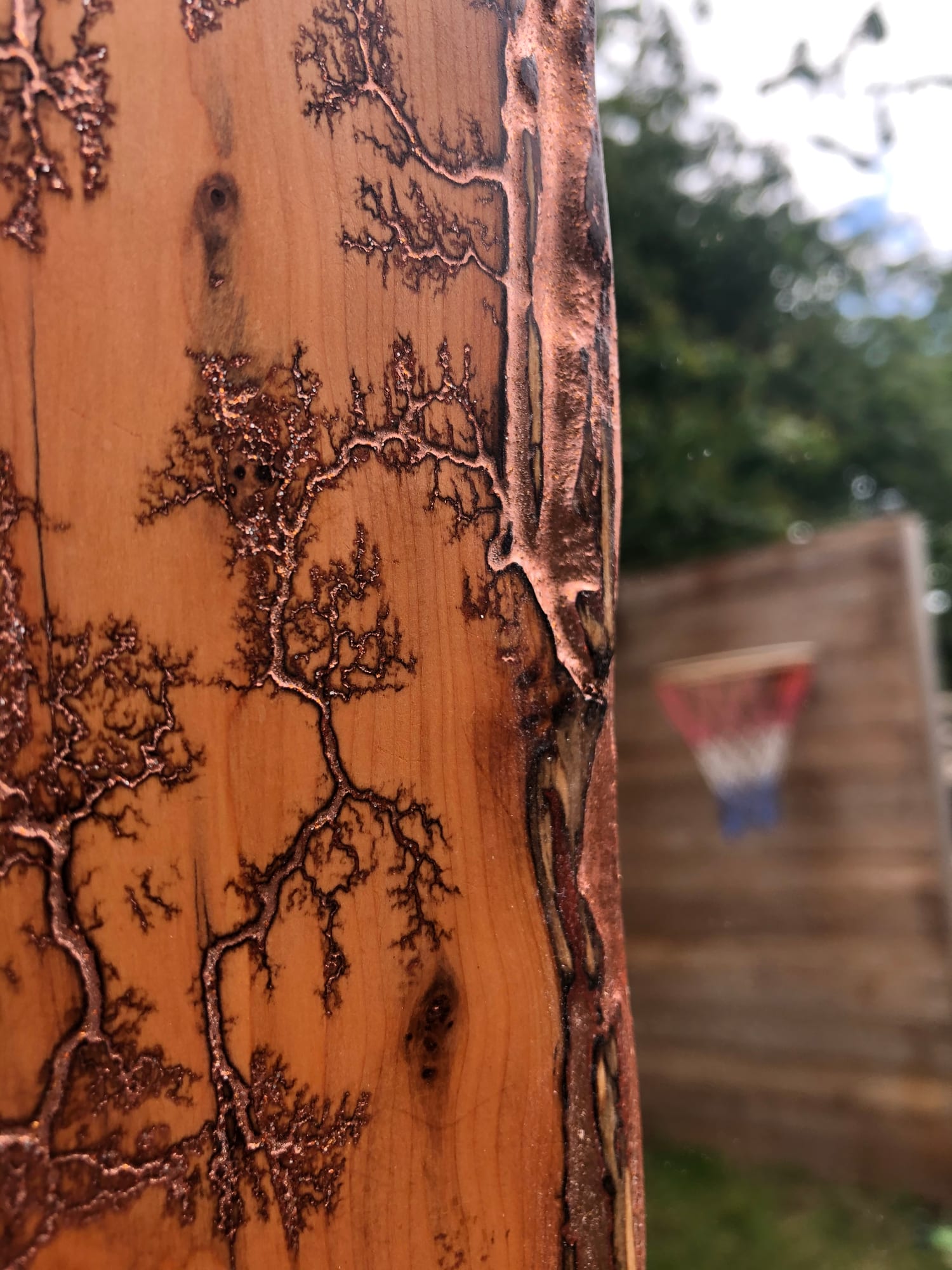 NATURAL ART MIRROR — archive photograph 7