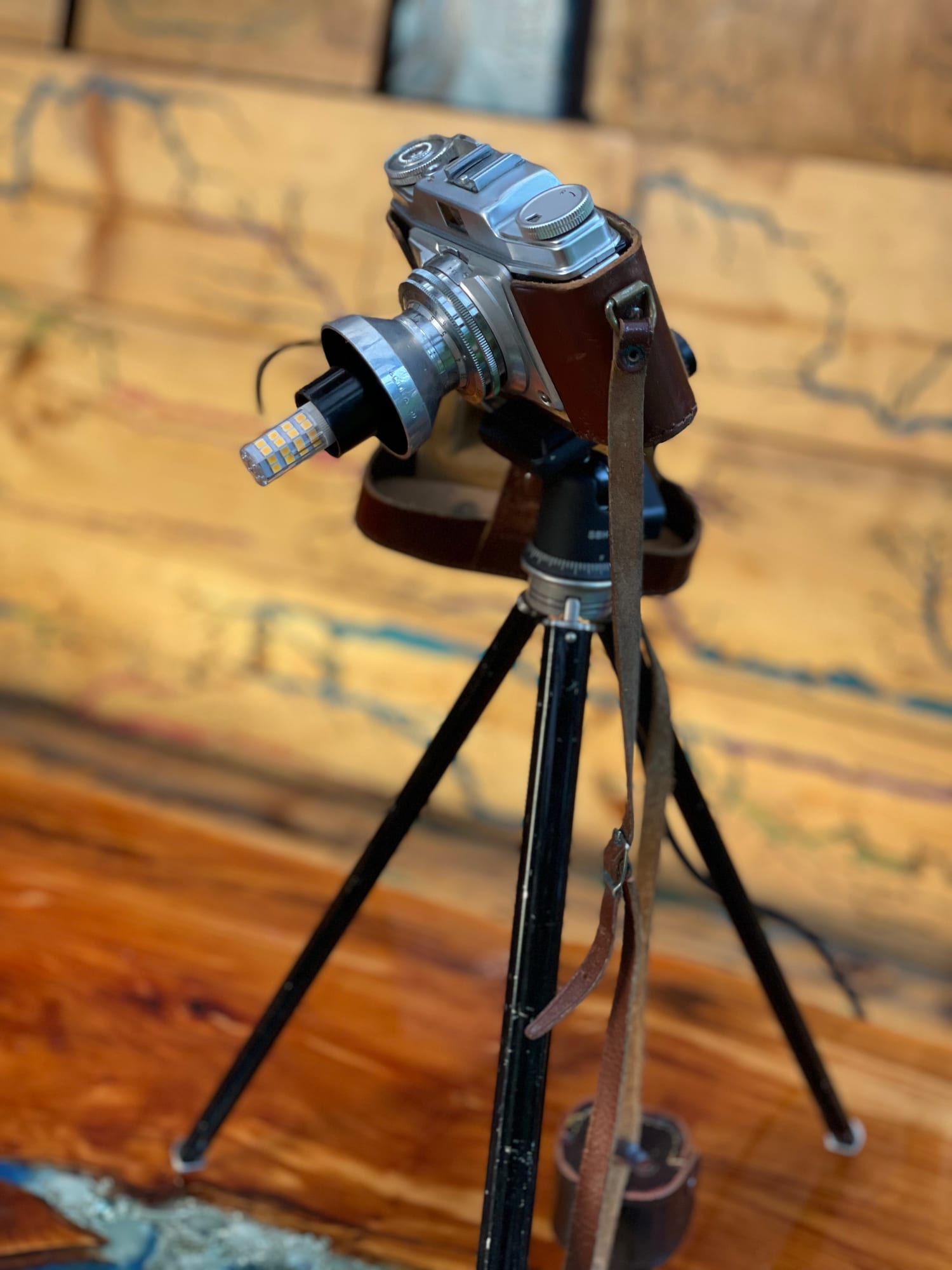 PAPARAZZI — archive photograph 7