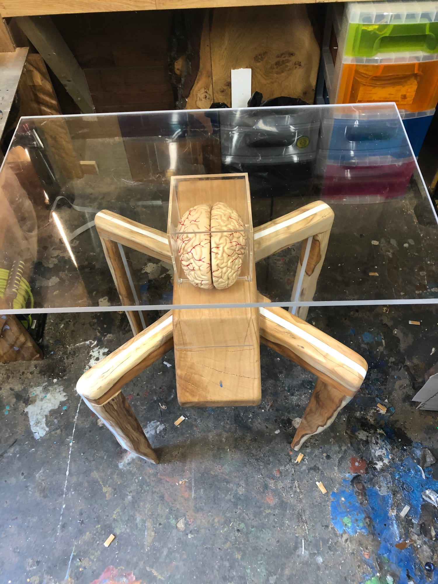 THE BUG — archive photograph 5