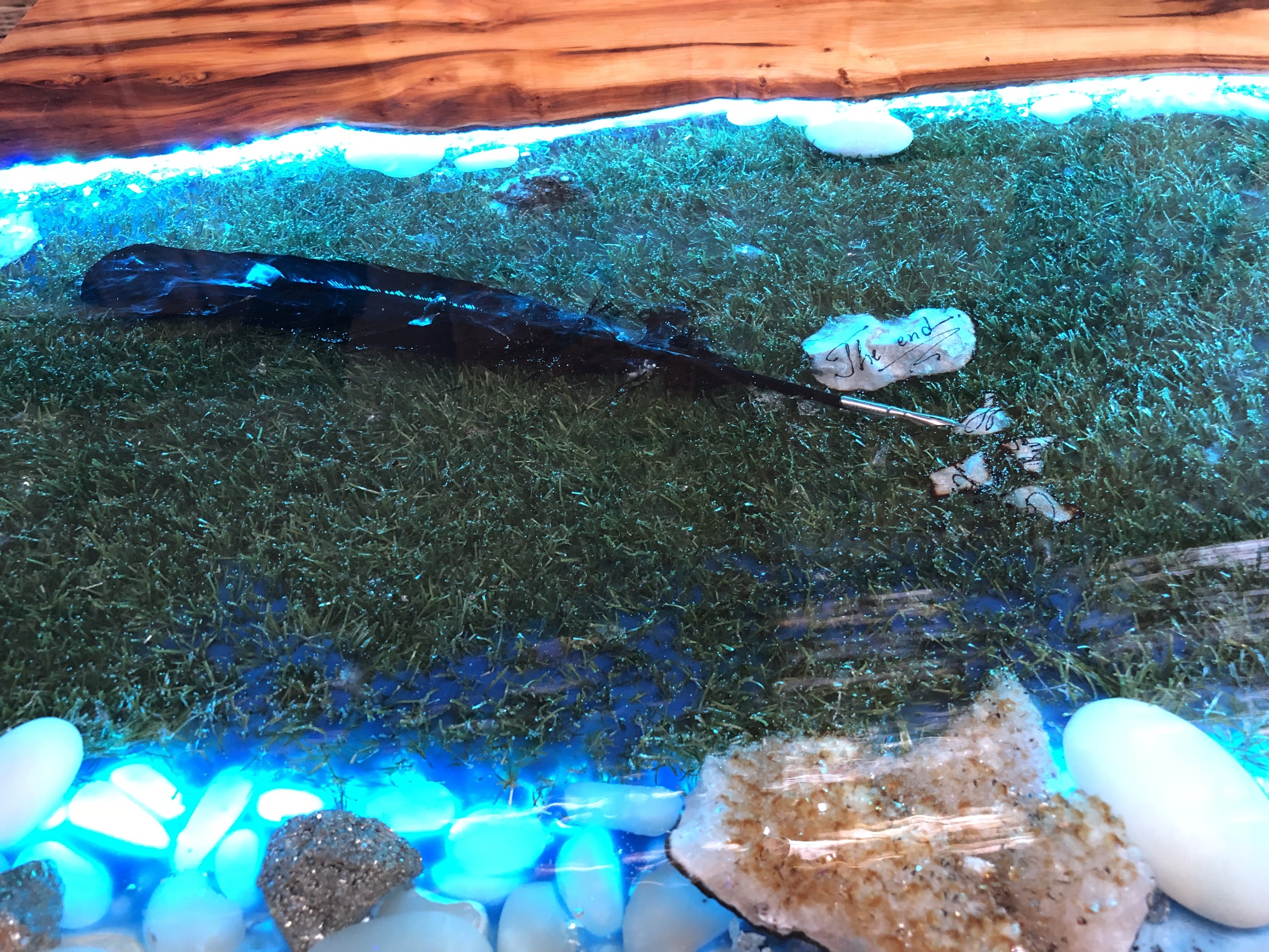 Macro detail of moss, stone eggs and geode clusters set in resin