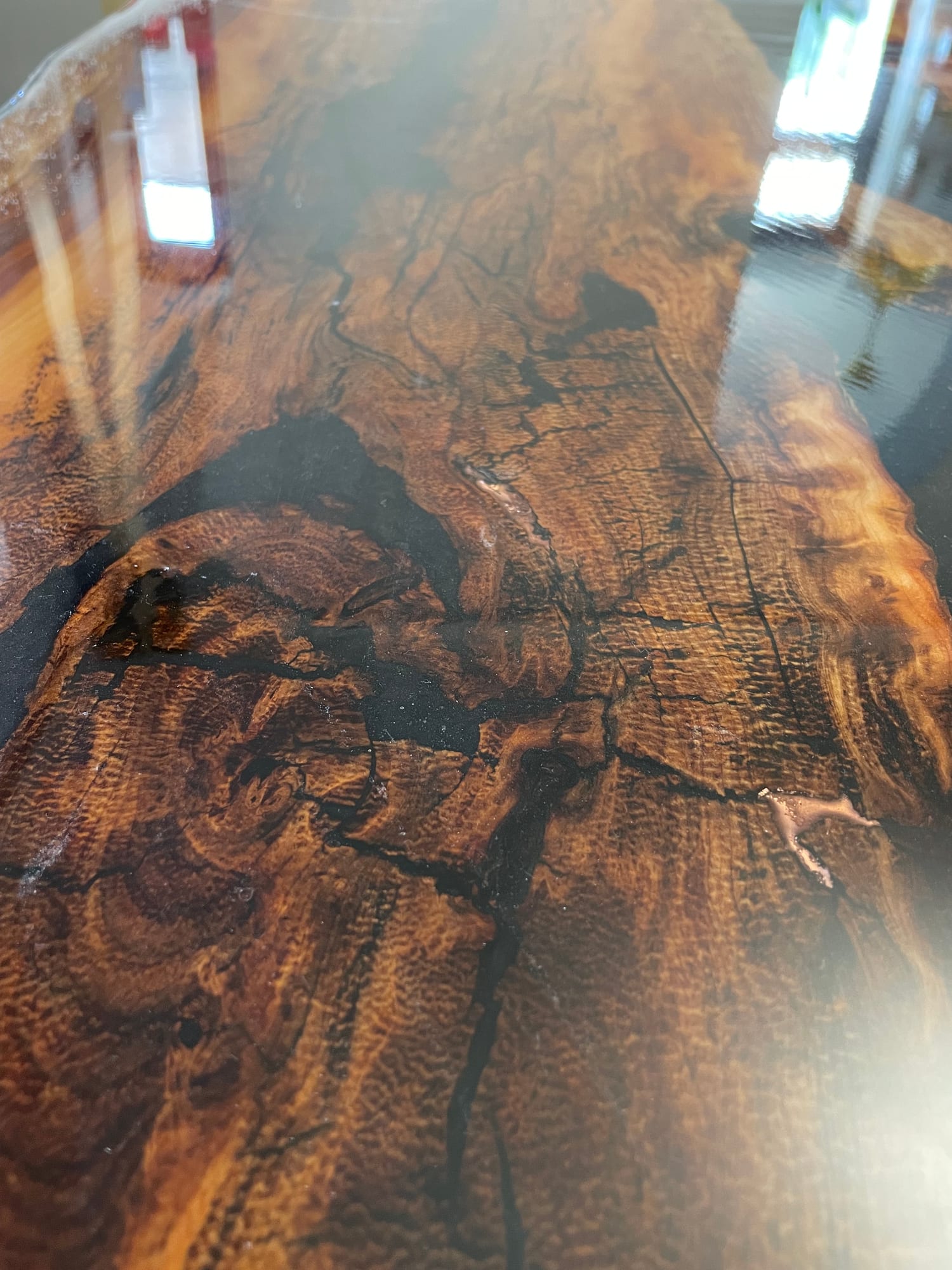 Tiger Yew — archive photograph 7